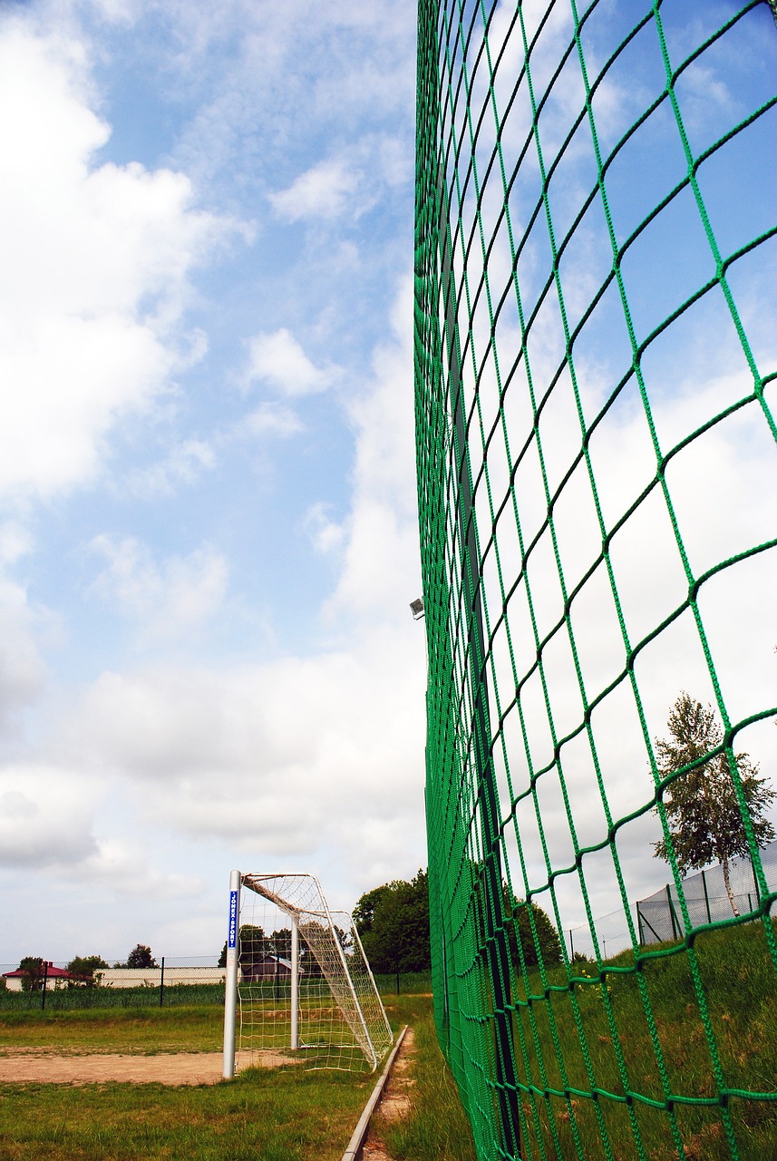 足球报:又一支广州本土足球队诞生,广州联新赛季将征战中冠.