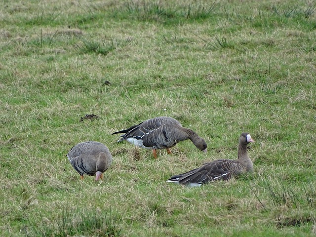 巴列卡诺主帅:我从未刻意考虑欧战,对阵西班牙人将会是一场硬战.